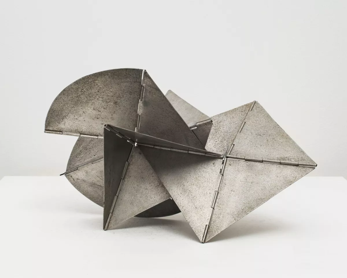 Philippe Meyer Architecte - Bicho