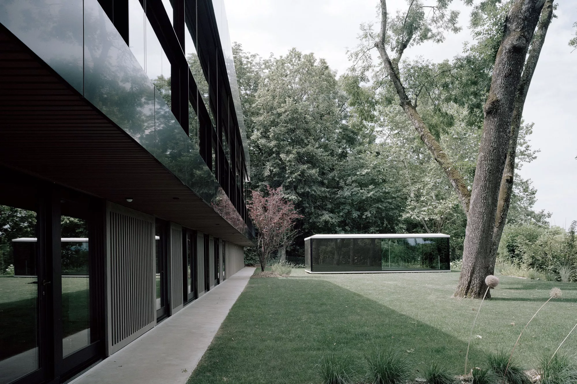 Philippe Meyer Architecte - Villa