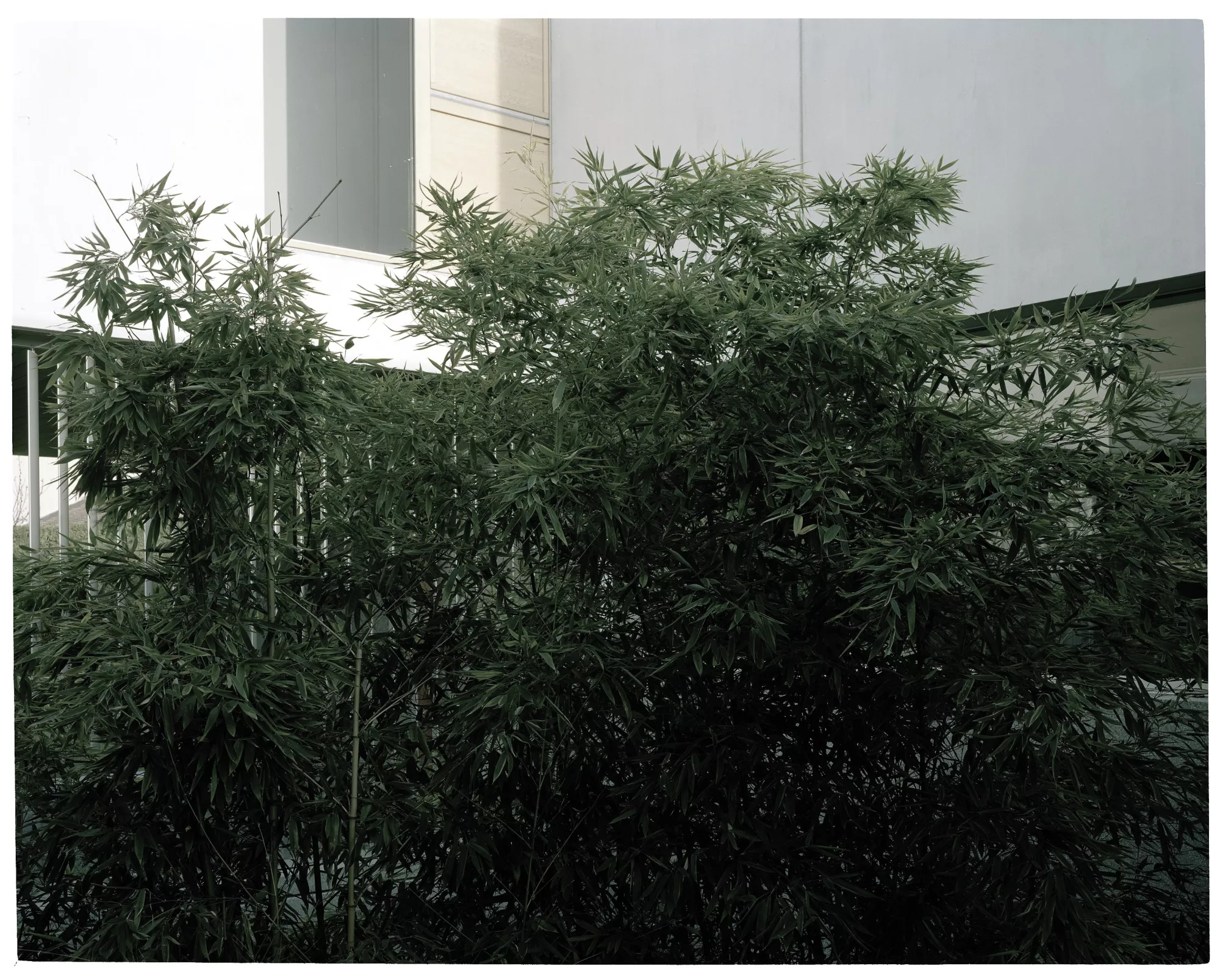 Philippe Meyer Architecte - Deux Villas