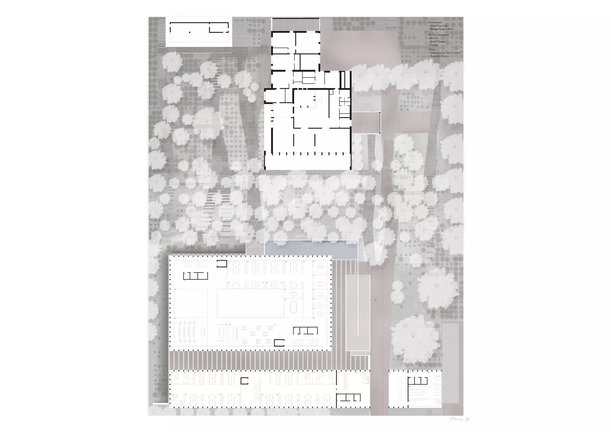 Ground floor plan Philippe Meyer Architecte - Ambassade Gothard block